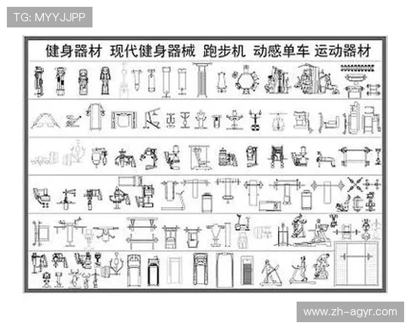 女性在家锻炼必备健身器材推荐与搭配方案 女性在家锻炼必备健身器材推荐与搭配方案