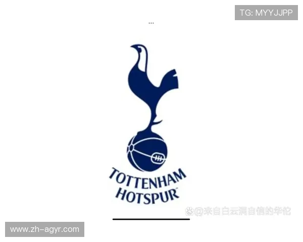 法甲球队年度财务结构分析与盈利能力研究