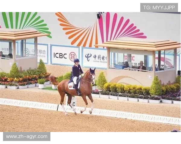 足球网站内容结构如何提升比赛报道与SEO排名效果