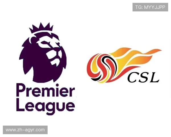 英超球队与中超联赛的异同及两大联赛未来合作潜力分析 英超球队与中超联赛的异同及两大联赛未来合作潜力分析